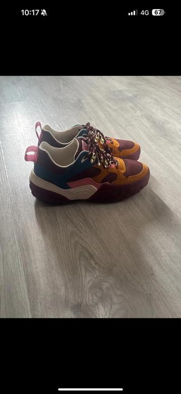 Splinter nieuwe Scotch Soda sneakers maat 38  beschikbaar voor biedingen
