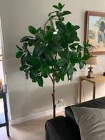 2 Kunstplanten 1.8m, Ophalen, Zo goed als nieuw, Binnen