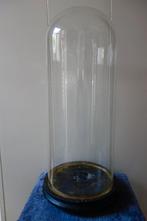 Schitterende grote antieke jaren 20/30 glazen stolp Belgie, Ophalen