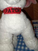 101 Dalmatiërs hond knuffel Disneyland 28 cm x 32 cm, Ophalen of Verzenden, Nieuw, Hond