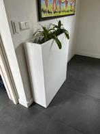 Design rechthoekige plantenbak wit glanzend kunstof, Tuin en Terras, Ophalen, Kunststof, Gebruikt, Binnen