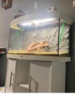 Juwel 175 aquarium met kastje, Dieren en Toebehoren, Vissen | Aquaria en Toebehoren, Ophalen, Zo goed als nieuw, Leeg aquarium