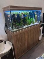 Aquarium, Dieren en Toebehoren, Vissen | Aquaria en Toebehoren, Ophalen, Leeg aquarium