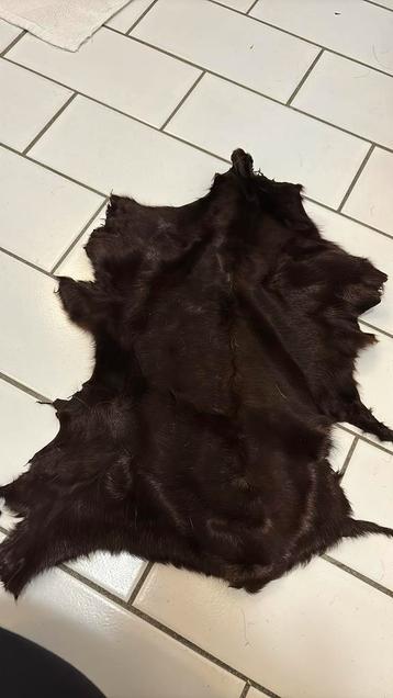 Bruin vachtje bont 39 x 26 , nieuw decoratie beschikbaar voor biedingen