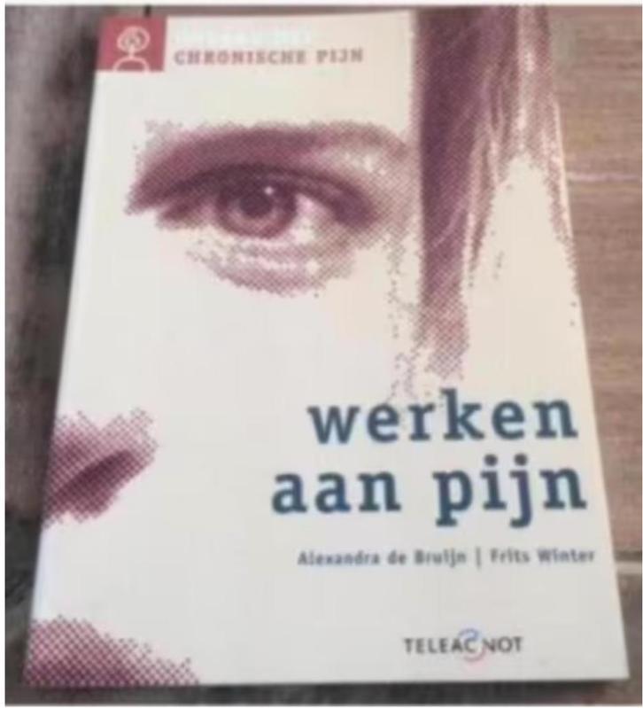 Werken aan pijn (Alexandra de Bruijn / Frits Winter), Boeken, Advies, Hulp en Training, Zo goed als nieuw, Ophalen of Verzenden