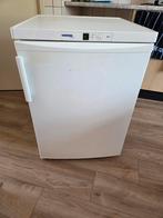 Liebherr Koelkast ., Ophalen, Minder dan 85 cm, 100 tot 150 liter, Energieklasse A of zuiniger