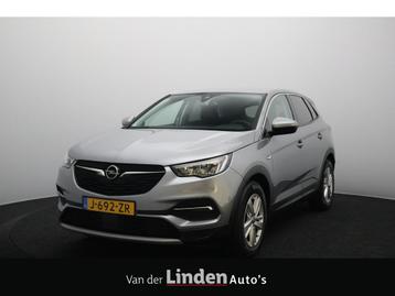 Opel Grandland X 1.2 Turbo Business Executive | Automaat | T beschikbaar voor biedingen