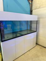 Zeewateraquarium Peninsula (replica waterbox) door Aqualife, Dieren en Toebehoren, Vissen | Aquaria en Toebehoren, Ophalen, Zo goed als nieuw