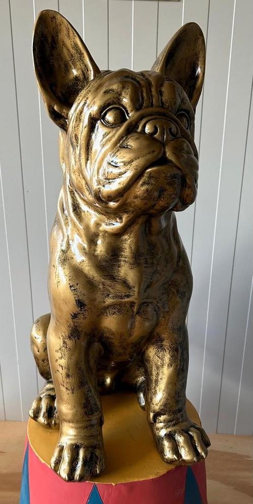 Gouden Franse Bulldog beeld zittend nieuw, Verzamelen, Beelden en Beeldjes, Ophalen