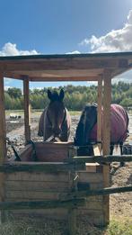 Hooihuisje te koop, Dieren en Toebehoren, Ophalen, Zo goed als nieuw, Overige soorten