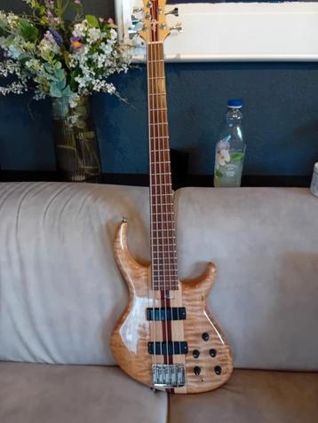 Tobias pre gibson 5 beschikbaar voor biedingen