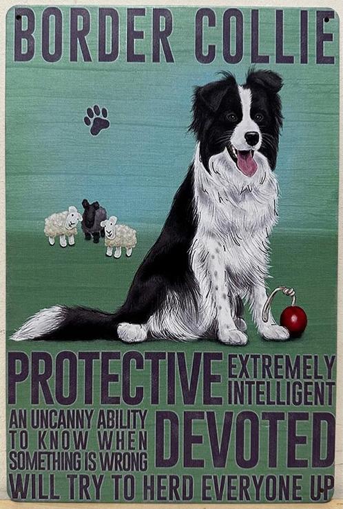 Border Collie eigenschappen hond reclamebord van metaal, Huis en Inrichting, Woonaccessoires | Wanddecoraties, Nieuw, Ophalen of Verzenden