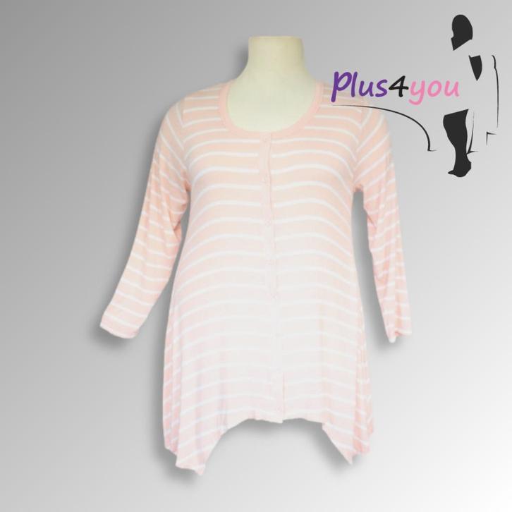30500 Nieuw A lijn vest/tuniek zhenzi mt M/46  I21, Kleding | Dames, Grote Maten, Nieuw, Blouse of Tuniek, Overige kleuren, Ophalen of Verzenden