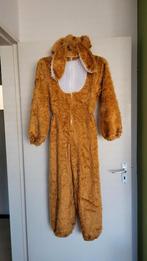 Konijnenpak carnaval, maat 164, Ophalen of Verzenden, Zo goed als nieuw, 158 t/m 164, Jongen of Meisje