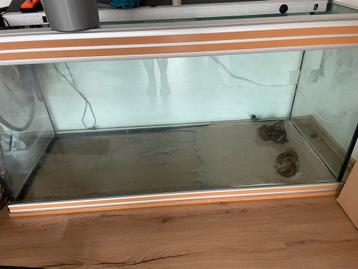 Aquarium te koop beschikbaar voor biedingen