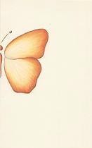 Bobby, Ophalen of Verzenden, 2000 tot heden