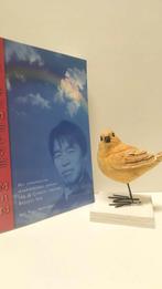 Hattaway, Paul; De hemelse man (Broeder Yun), Boeken, Ophalen of Verzenden, Gelezen, Christendom | Protestants