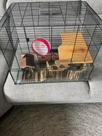 Hamsterkooi, Minder dan 60 cm, Kooi, Gebruikt, Ophalen of Verzenden