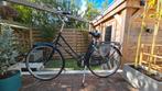 Pointer damesfiets (terugtraprem, framemaat 36), Fietsen en Brommers, Fietsen | Dames | Omafietsen, Ophalen, Gebruikt