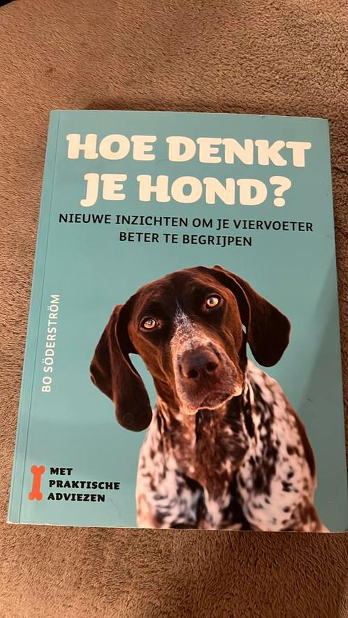 Bo Söderström - Hoe denkt je hond?, Boeken, Dieren en Huisdieren, Zo goed als nieuw, Honden, Ophalen of Verzenden