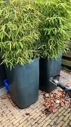 Twee geglazuurde zuilen, 90 hoog 50/50, Tuin en Terras, Bloembakken en Plantenbakken, Steen, Gebruikt, Minder dan 60 cm, Vierkant