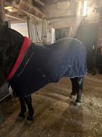 Bigneck deken, Dieren en Toebehoren, Ophalen of Verzenden, Zo goed als nieuw, Deken