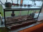 Terrarium 100*50*50, Dieren en Toebehoren, Reptielen en Amfibieën | Toebehoren, Ophalen, Gebruikt, Terrarium of Paludarium