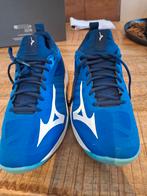 Mizuno indoorschoenen maat 42, Ophalen of Verzenden, Zo goed als nieuw, Overige typen