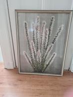 Oude afbeelding liatris in lijst, Ophalen