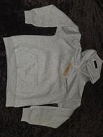 Essentials Fear of God Hoodie - Grijs, Kleding | Heren, Truien en Vesten, Maat 48/50 (M), Ophalen of Verzenden, Grijs, Essentials