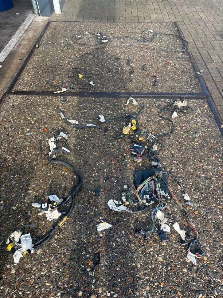 Kabelboom classic mini spi bouwjaar 1996, Auto-onderdelen, Elektronica en Kabels, Mini, Nieuw, Ophalen