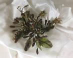 Antieke Franse corsage met wasbloemen Chapellerie Antique, Antiek en Kunst, Ophalen of Verzenden, Dames