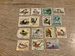 Australië Postzegels - Vogels, Ophalen of Verzenden, Dier of Natuur