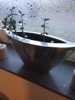 Bloempot, Minder dan 30 cm, Minder dan 60 cm, Rond, Ophalen of Verzenden