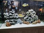Aquarium rotsen cichliden, Ophalen of Verzenden, Zo goed als nieuw, Plant(en), Steen of Hout