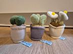 3x plant knuffeltje take me home, Ophalen of Verzenden