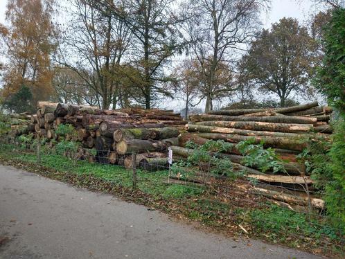Brandhout - Stamhout - Boomstammen - Haardhout - Te Koop, Tuin en Terras, Haardhout, Stammen, Overige houtsoorten, 6 m³ of meer