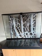 Terrarium met toebehoren, Dieren en Toebehoren, Reptielen en Amfibieën | Toebehoren, Ophalen, Gebruikt