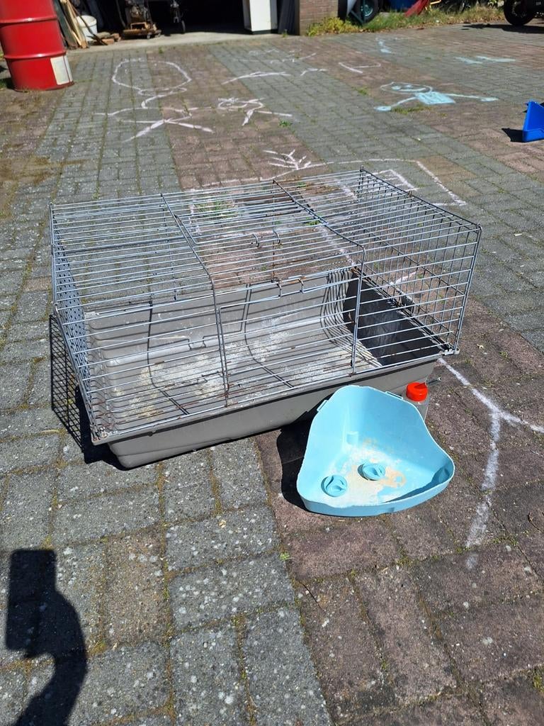 Konijnen/cavia binnenhok, Dieren en Toebehoren, Gebruikt, Hok, 75 tot 110 cm, Cavia