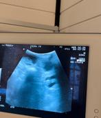 Wij verwachten uit deze geweldige combinatie prachtige pups, Parvo, Overige rassen, 8 tot 15 weken, Meerdere