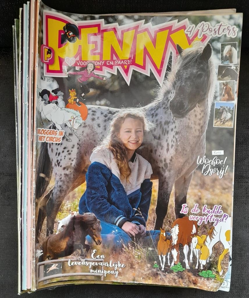 Penny complete jaargang 2019, Ophalen of Verzenden, Gelezen, Overige typen
