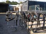 2-Span PAARDENTUIG voor Haflinger of FJORD, Ophalen, Gebruikt, Recreatie