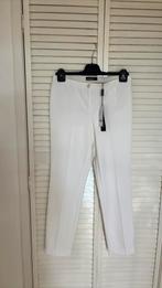 Cambio broekeit maat 38 nieuw, Ophalen of Verzenden, Zo goed als nieuw, Maat 38/40 (M), Lang