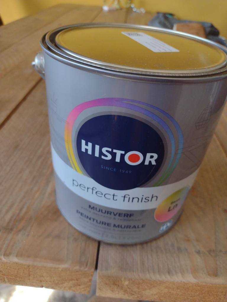 Mintgroene muurverf, Doe-het-zelf en Verbouw, Verf, Beits en Lak, Ophalen of Verzenden, Nieuw