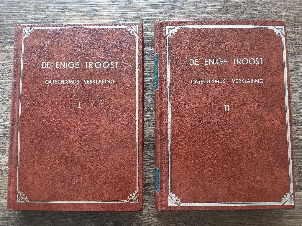 De enige troost - catechismus verklaring, Boeken, Ophalen of Verzenden, Zo goed als nieuw, Christendom | Protestants