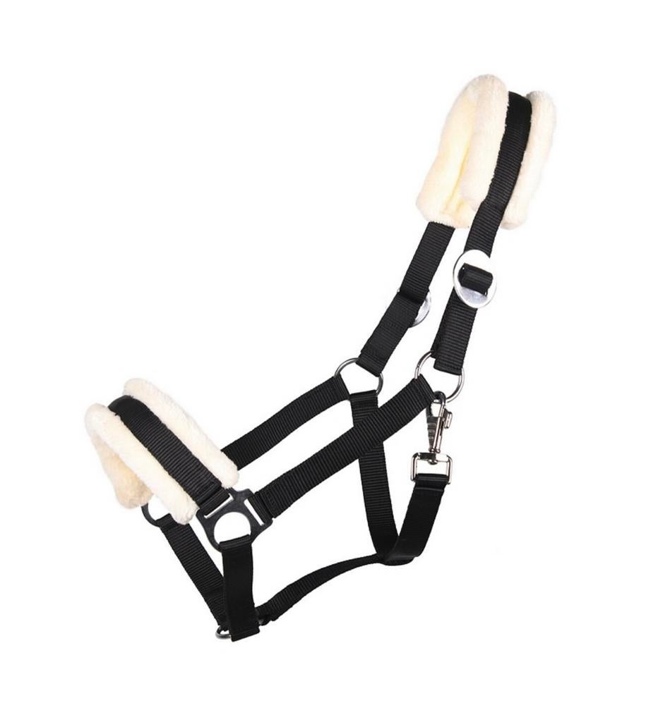 Halster met naam, Ophalen of Verzenden, Zo goed als nieuw, Overige soorten