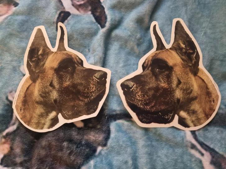 Honden Sticker Set boxer duitse dog, Hobby en Vrije tijd, Stickers en Plaatjes, Zo goed als nieuw, Sticker, Ophalen of Verzenden