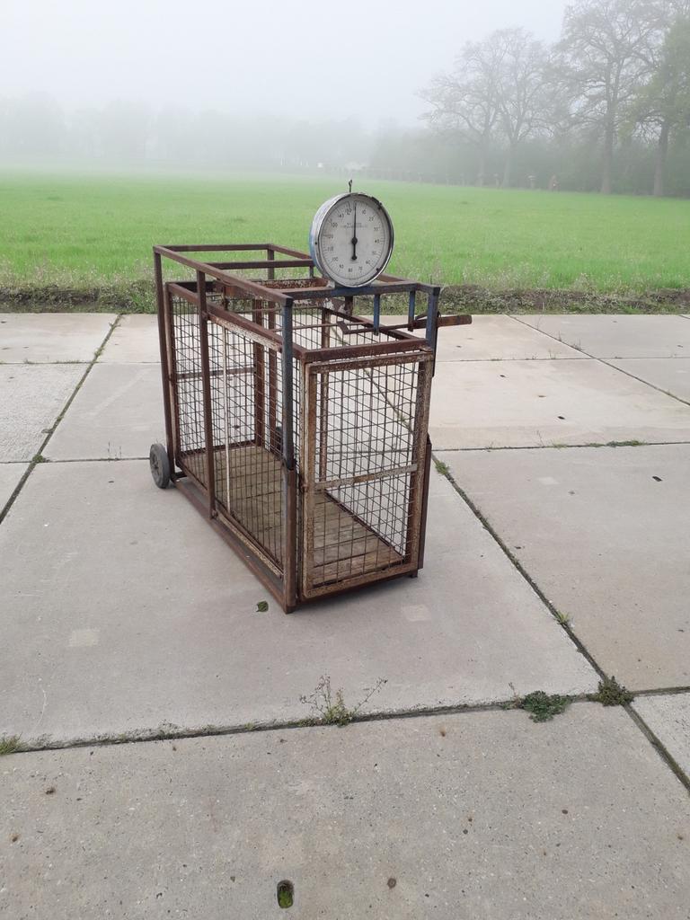 Doorloopweegschaal schapenweegschaal dieren weegschaal weger, Ophalen, Gebruikt