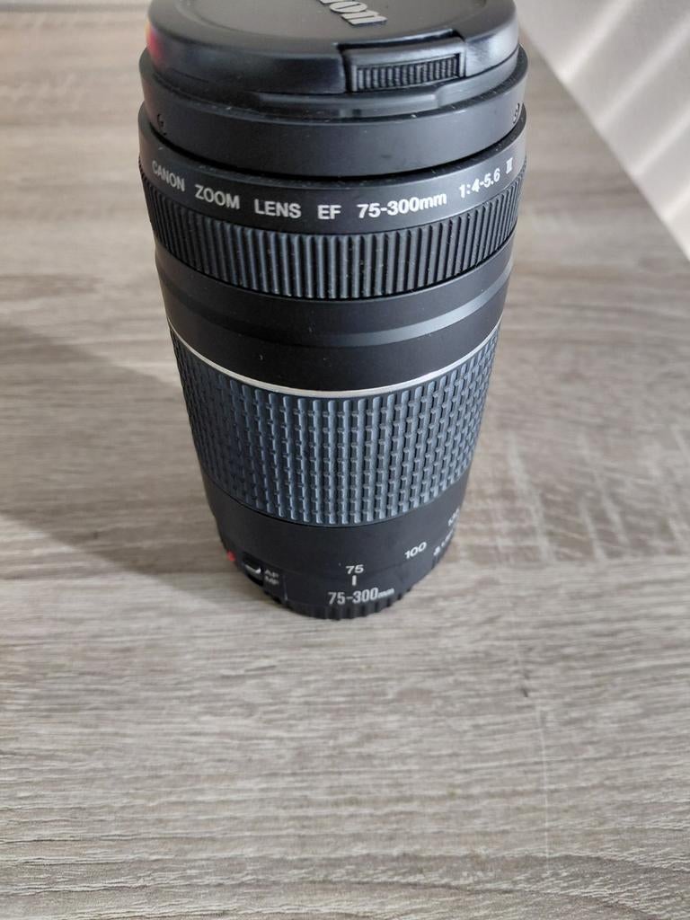 Canon EF 75-300mm zoomlens mark III, Audio, Tv en Foto, Fotografie | Lenzen en Objectieven, Ophalen of Verzenden, Telelens