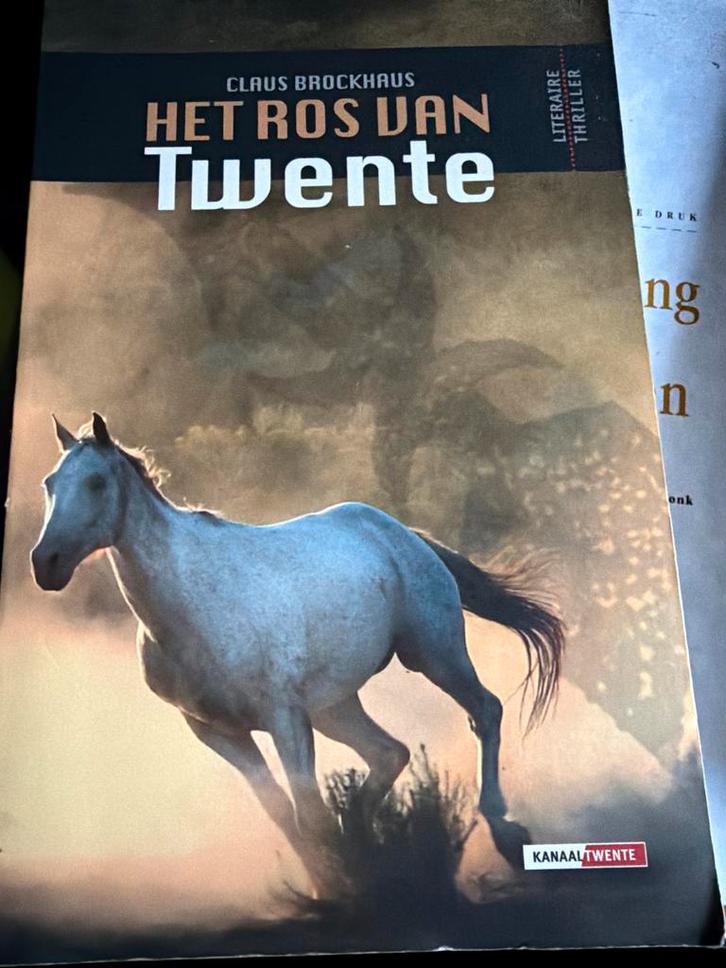 Z9.   Claus Brockhaus - Het Ros van Twente, Boeken, Thrillers, Zo goed als nieuw, Nederland, Ophalen of Verzenden